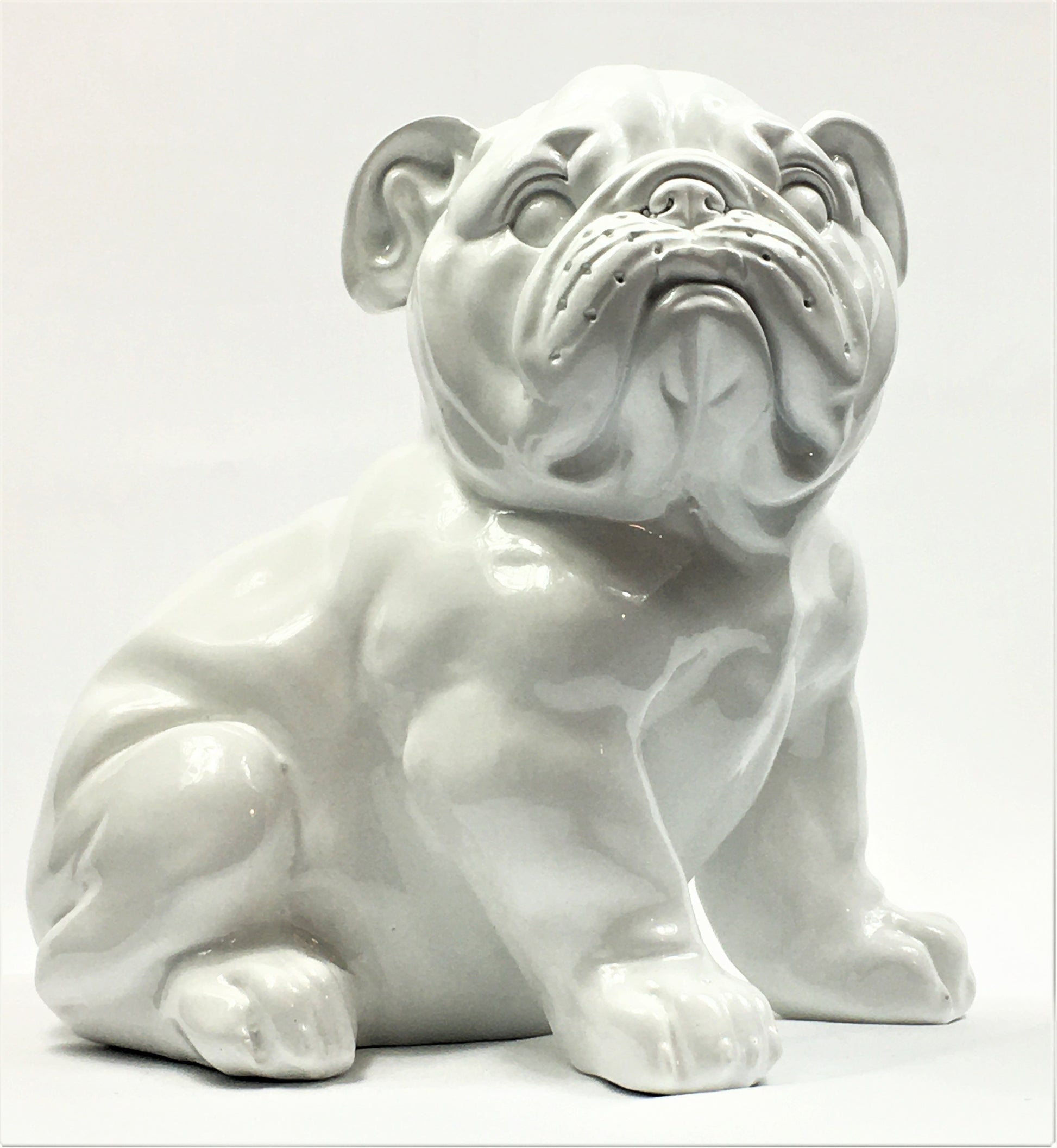 Franse Bull Dog Pup - Earkings