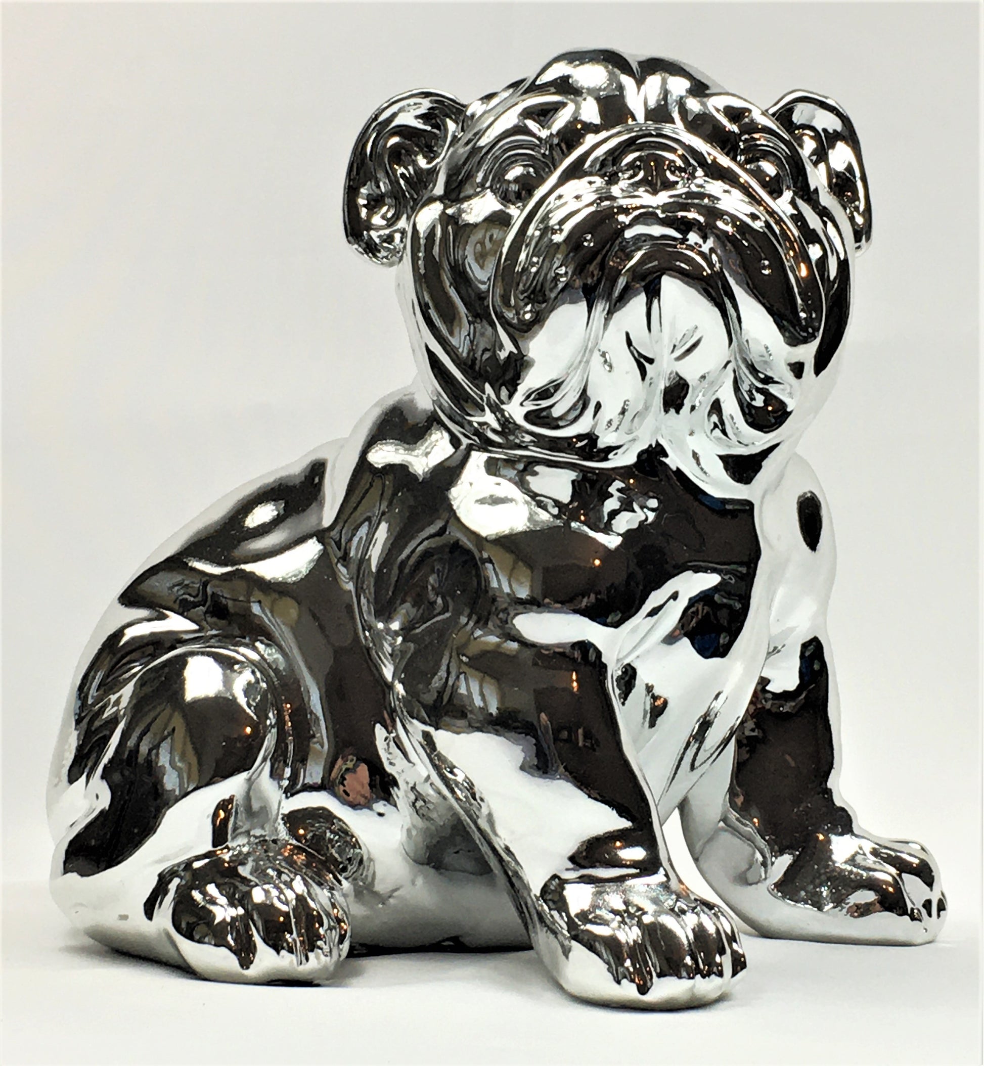 Franse Bull Dog Pup - Earkings