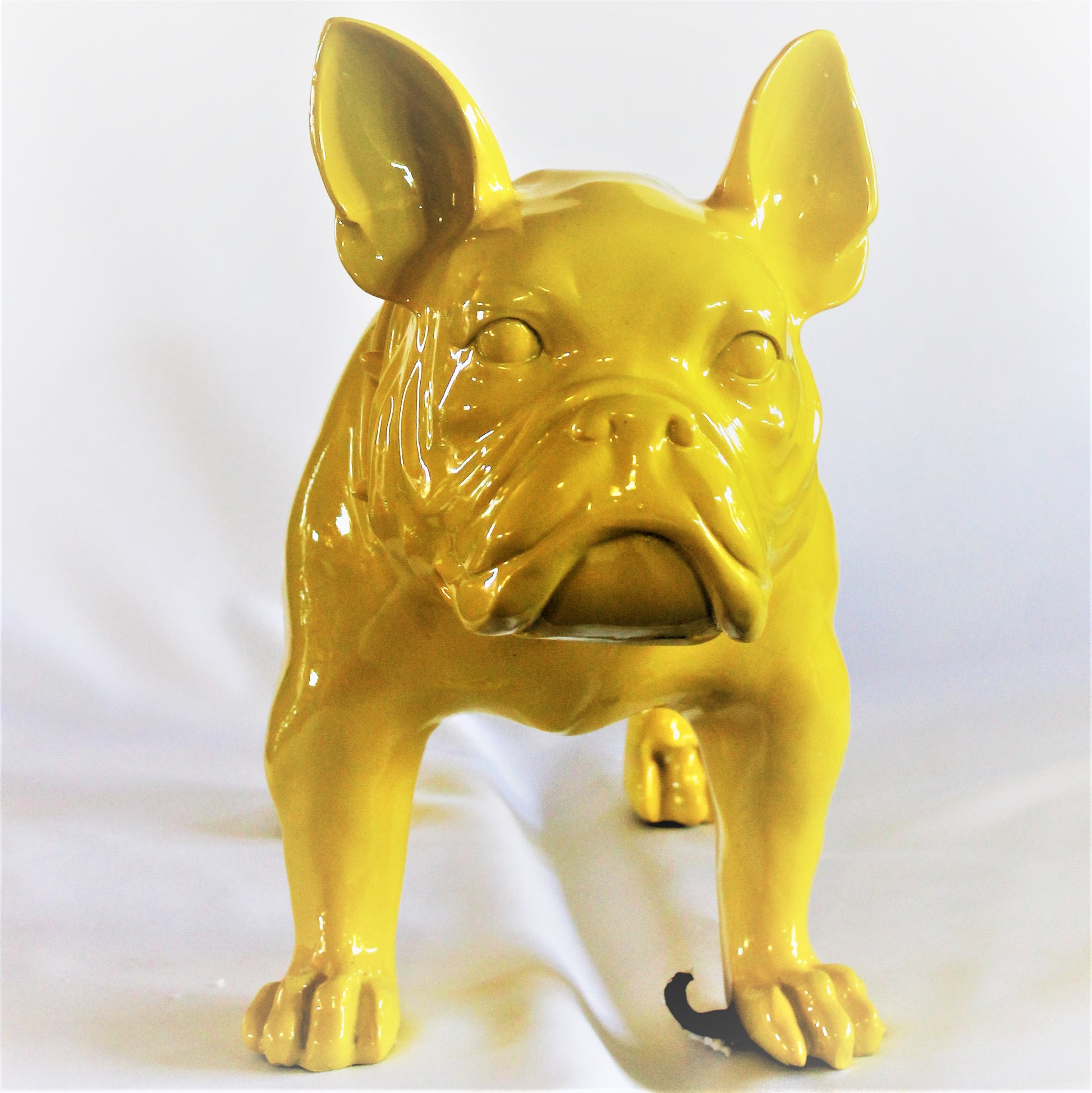 Grote Franse Bull Dog - Earkings