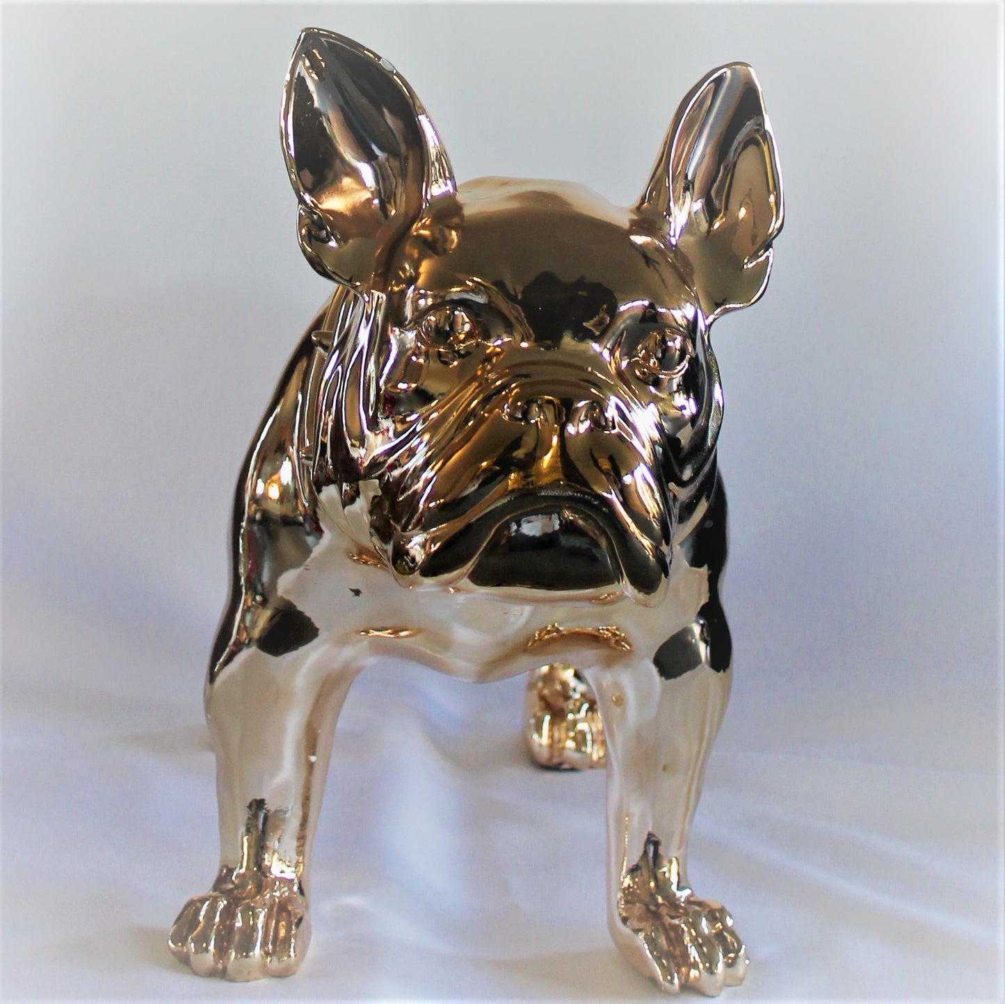 Grote Franse Bull Dog - Earkings