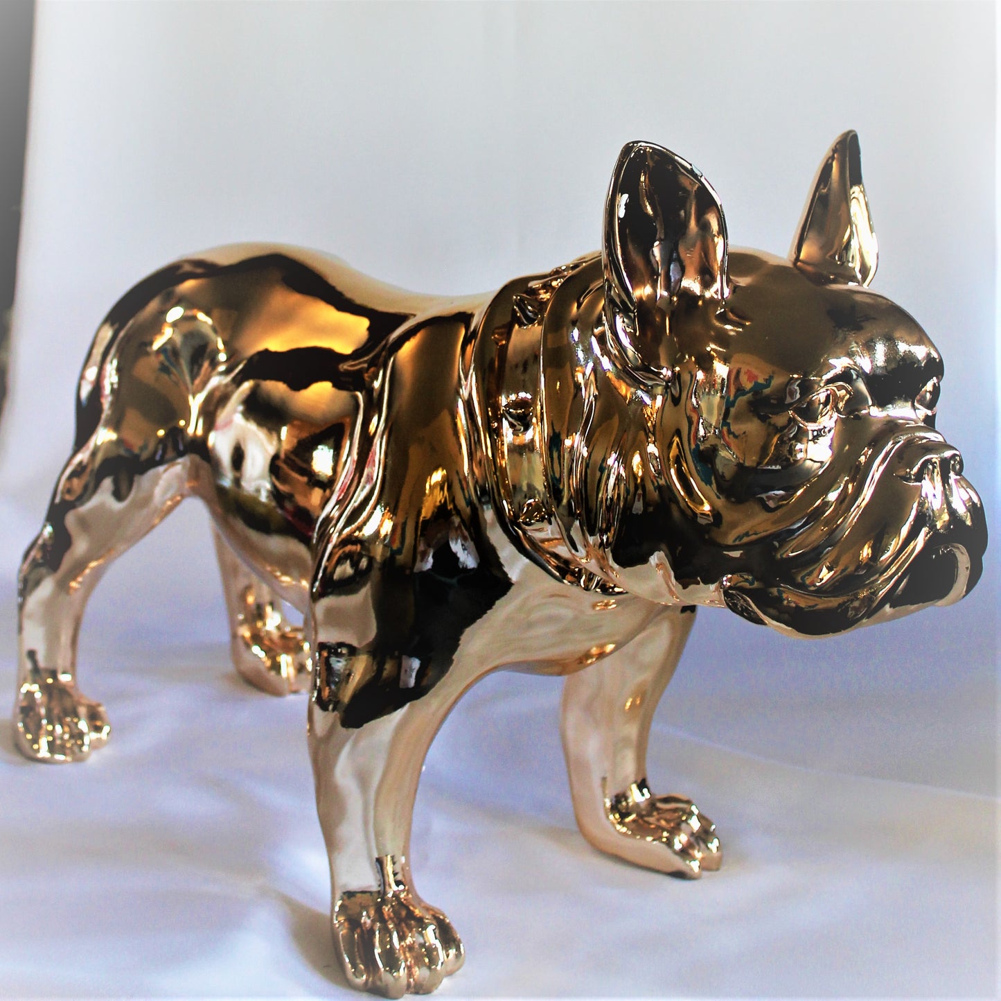 Grote Franse Bull Dog - Earkings