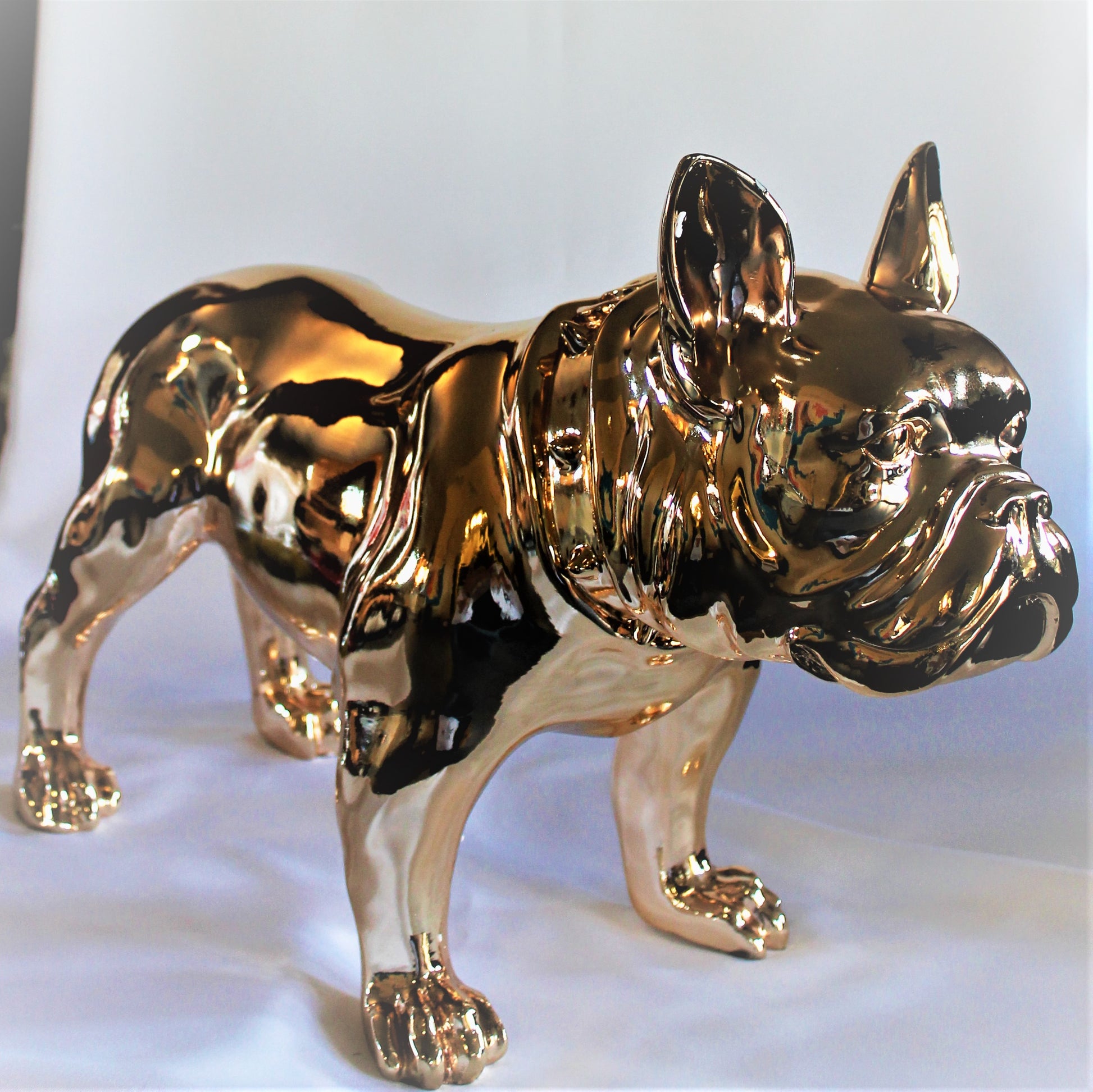 Grote Franse Bull Dog - Earkings