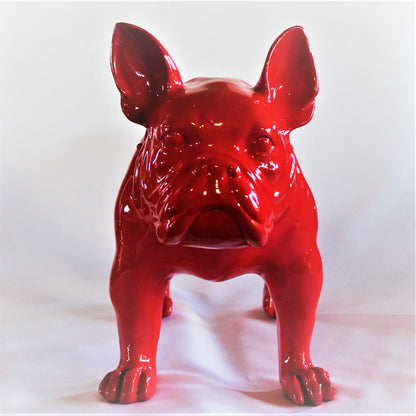 Grote Franse Bull Dog - Earkings