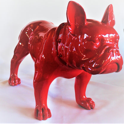 Grote Franse Bull Dog - Earkings