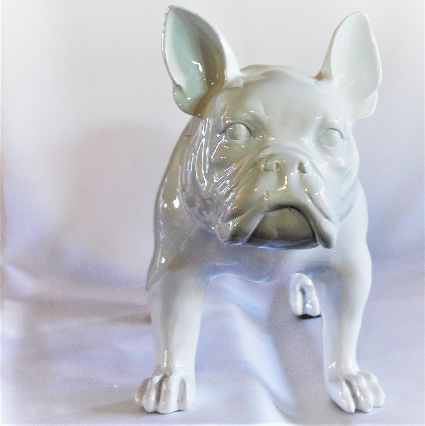 Grote Franse Bull Dog - Earkings