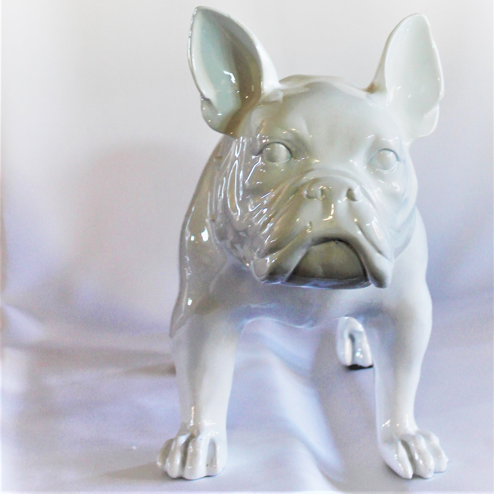Grote Franse Bull Dog - Earkings
