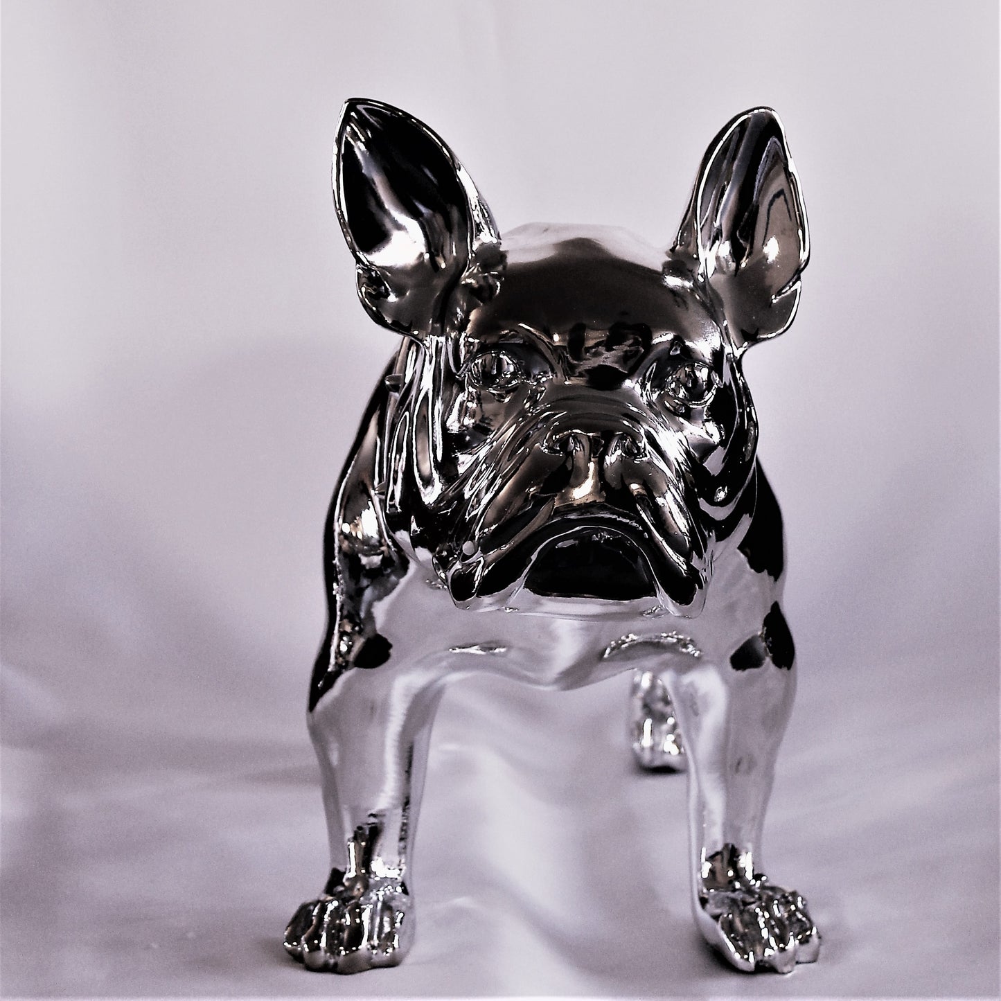 Grote Franse Bull Dog - Earkings