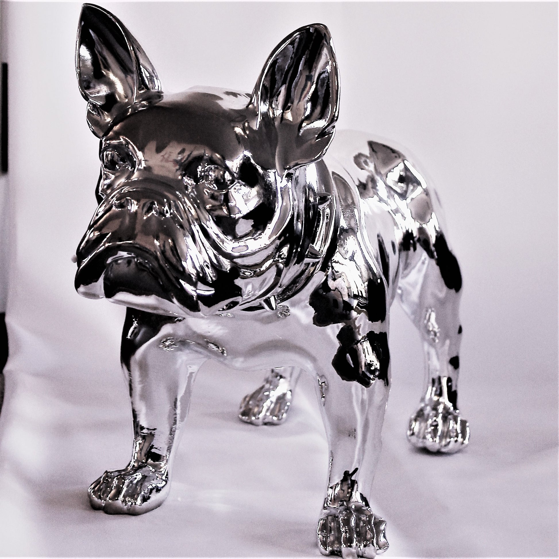 Grote Franse Bull Dog - Earkings