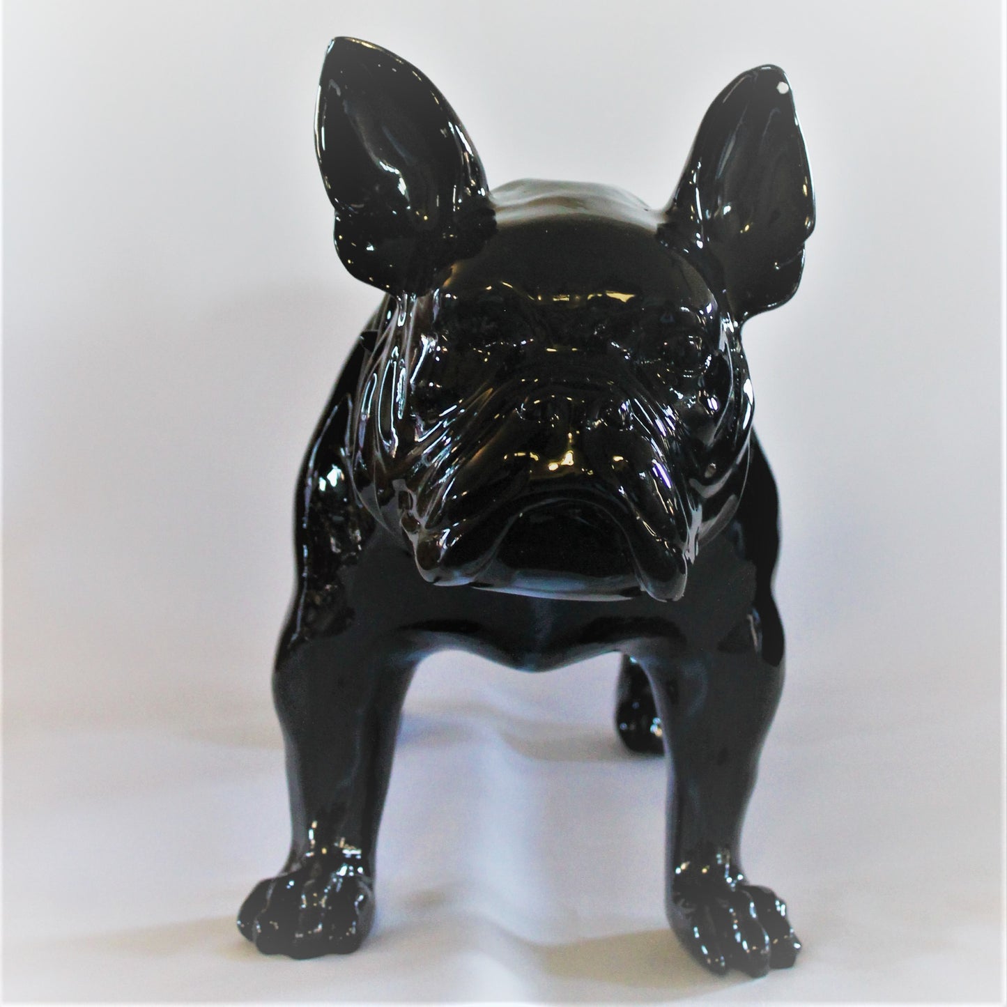 Grote Franse Bull Dog - Earkings