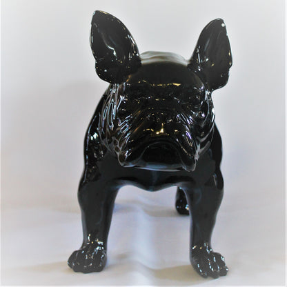 Grote Franse Bull Dog - Earkings