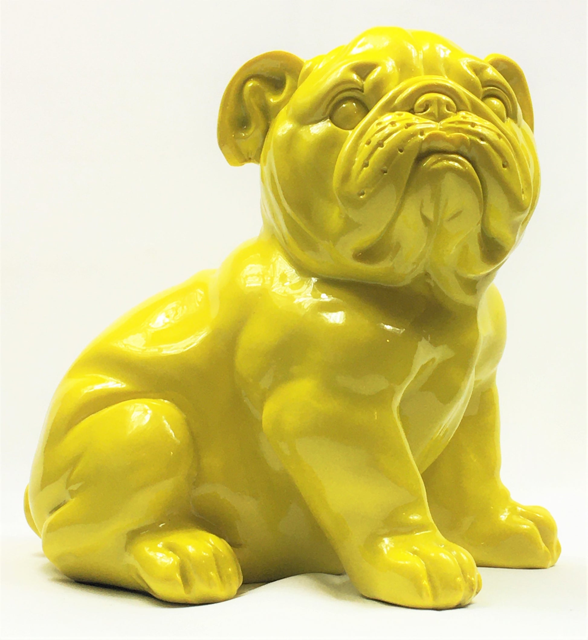 Franse Bull Dog Pup - Earkings