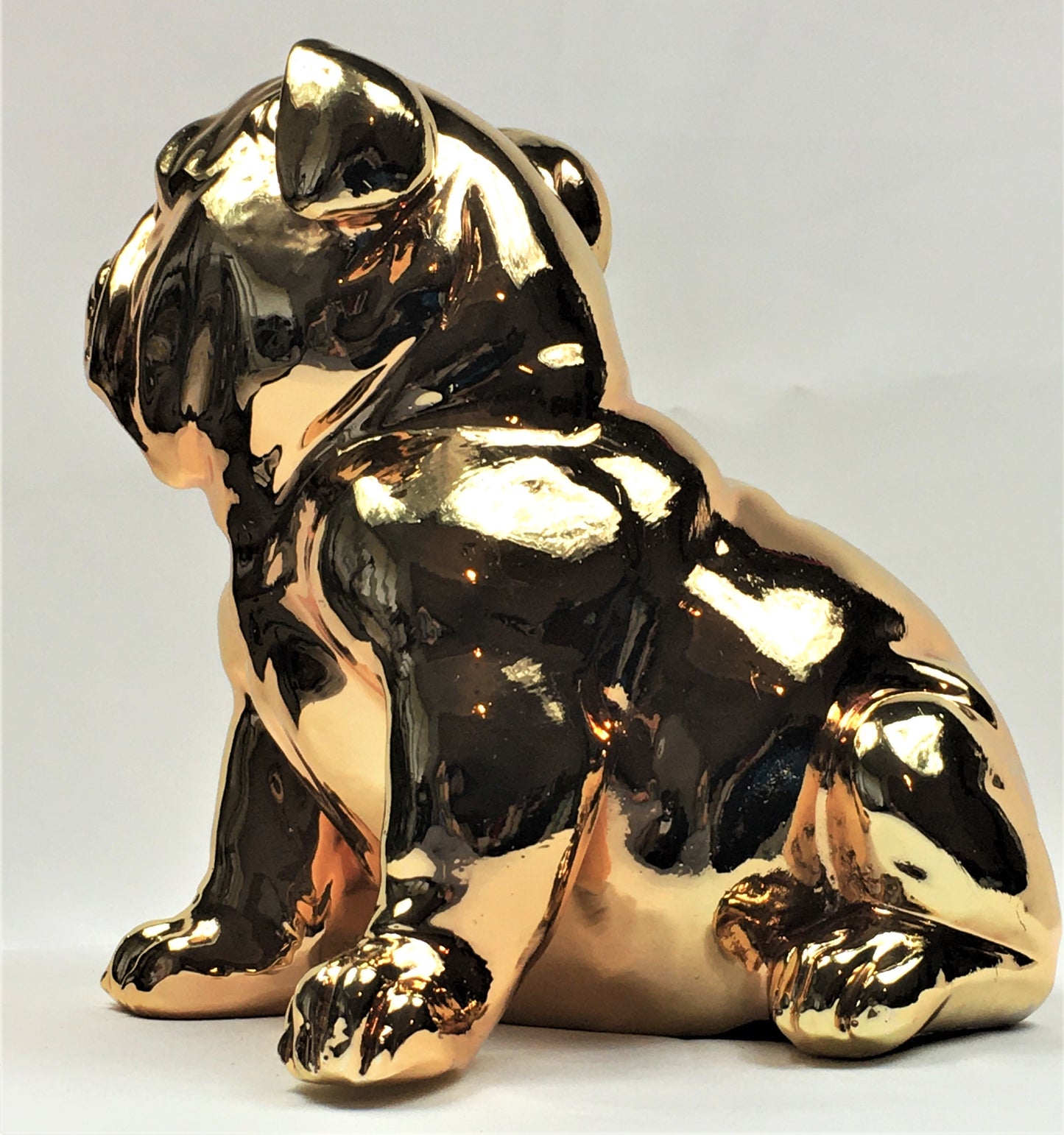 Franse Bull Dog Pup - Earkings